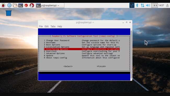 raspi config interfacing